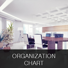 조직도